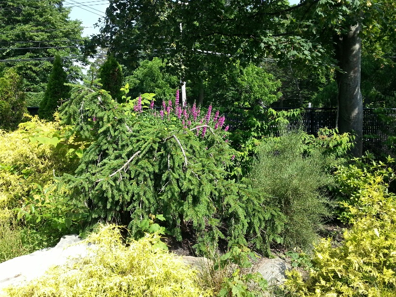 Prayer Garden